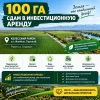 Мухидин Мамараимов