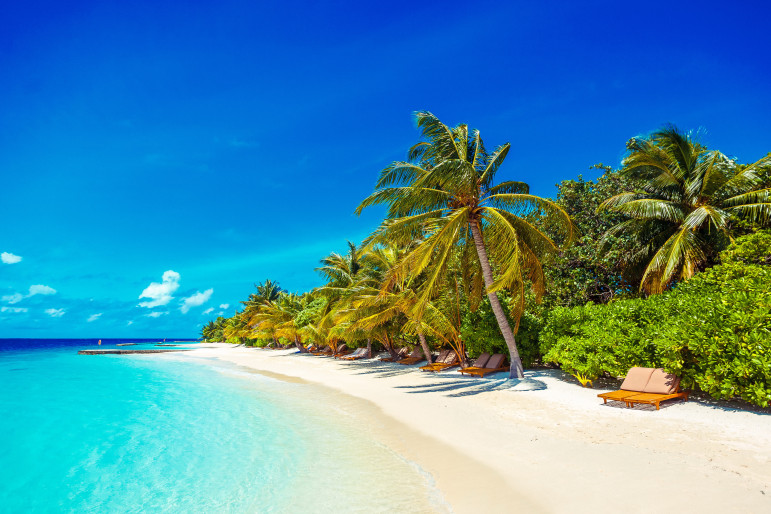 American travel company is looking for new partners! - 83 - photo 1