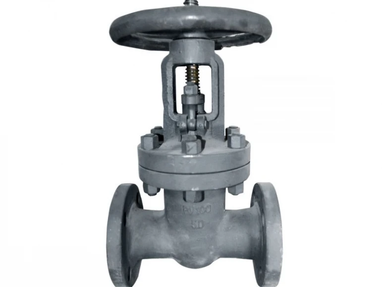 Absperrschieber 30s16nzh - 520 - Foto 1