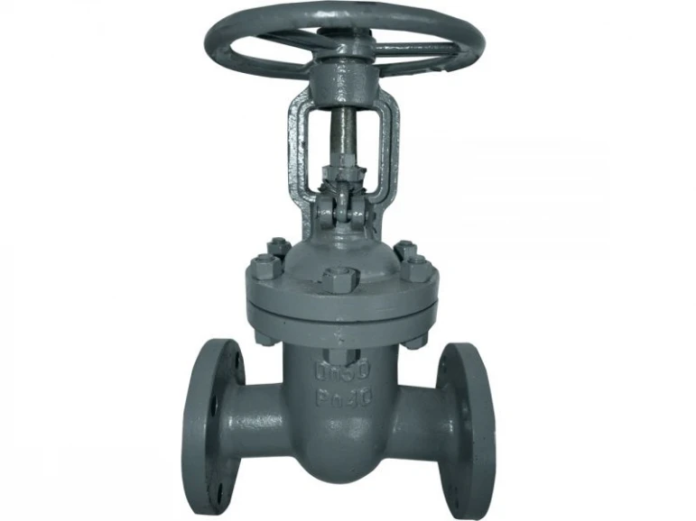 Gate valve 30s15nzh - 523 - photo 1