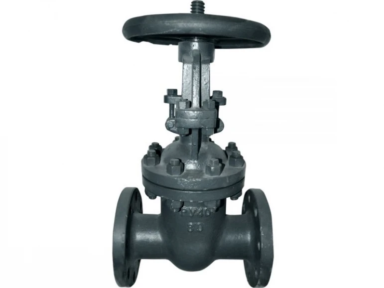 Gate valve 30s15nzh - 523 - photo 2