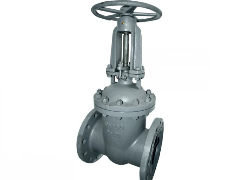 Gate valve 30s15nzh - 523 - photo 4