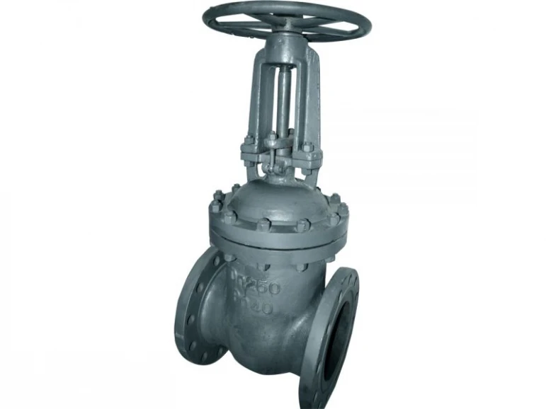 Gate valve 30s15nzh - 523 - photo 5