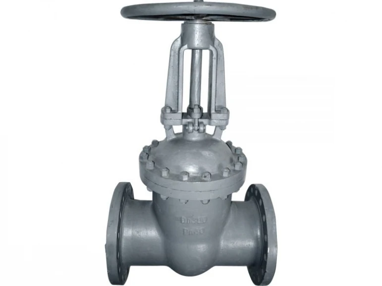 Gate valve 30s15nzh - 523 - photo 6