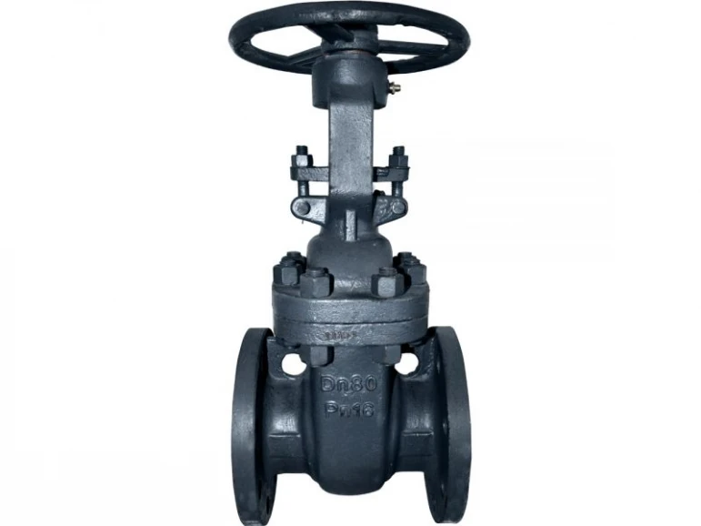 Gate valve 30s41nzh - 524 - photo 2