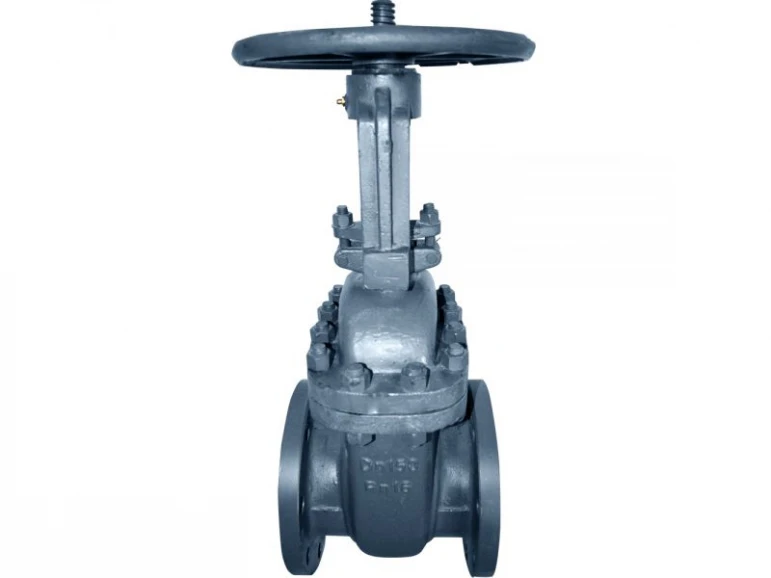 Gate valve 30s41nzh - 524 - photo 3