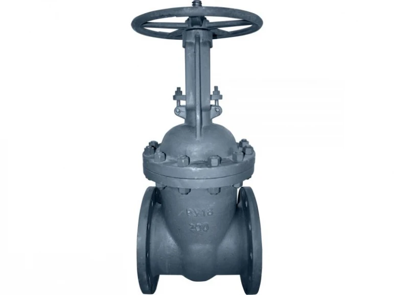 Gate valve 30s41nzh - 524 - photo 4