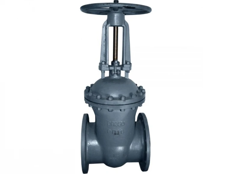 Gate valve 30s41nzh - 524 - photo 6