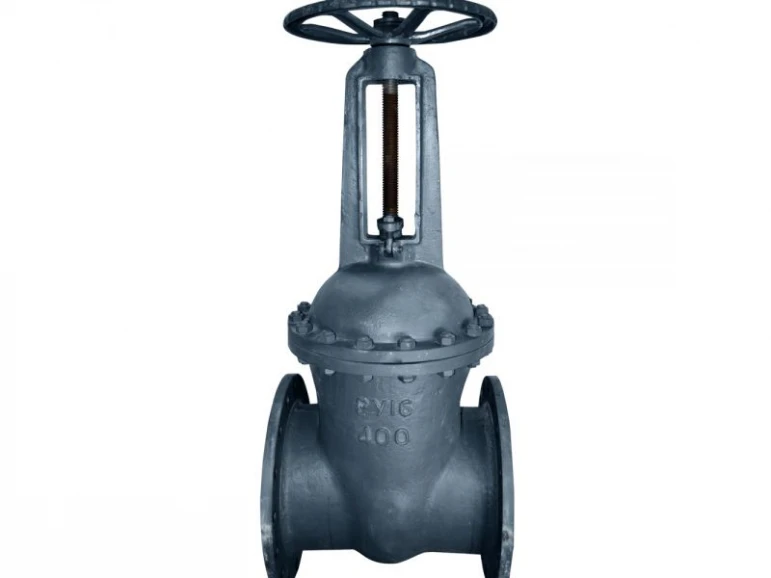 Gate valve 30s41nzh - 524 - photo 7
