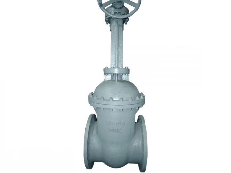 Gate valve 30s41nzh - 524 - photo 8