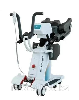 KYHSMART Wheelchair Lift - 1529 - photo 1
