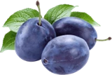 The plum is spread out - 1673 - photo 1