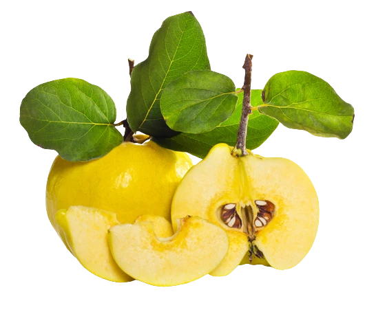 Японская красавица - 1676 - фото 1