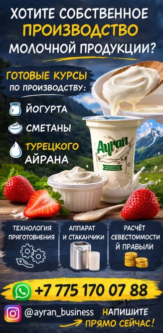 Готовый бизнес под ключ: производство йогурта, сметаны и турецкого айрана! - 2212 - фото 2