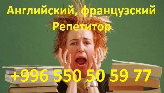 Teacher English and French language teacher tutor - 2251 - photo 1