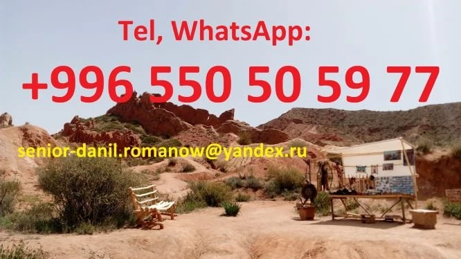 Гид, водитель, туры в Кыргызстане, туризм, путешествия, горы, трэки в Киргизии - 2253 - фото 3