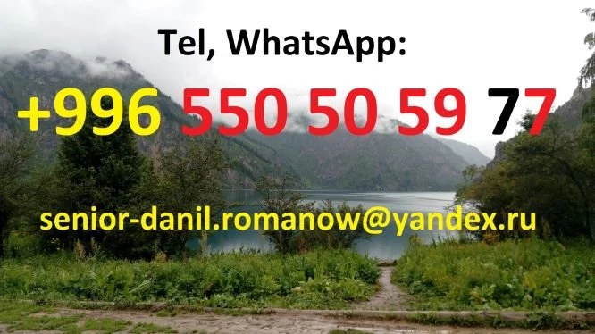 Гид, водитель, туры в Кыргызстане, туризм, путешествия, горы, трэки в Киргизии - 2253 - фото 4
