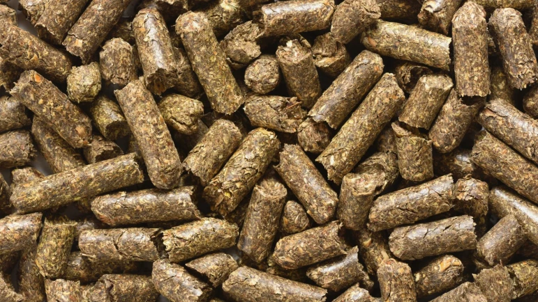 Alfalfa pellets - 2370 - photo 2