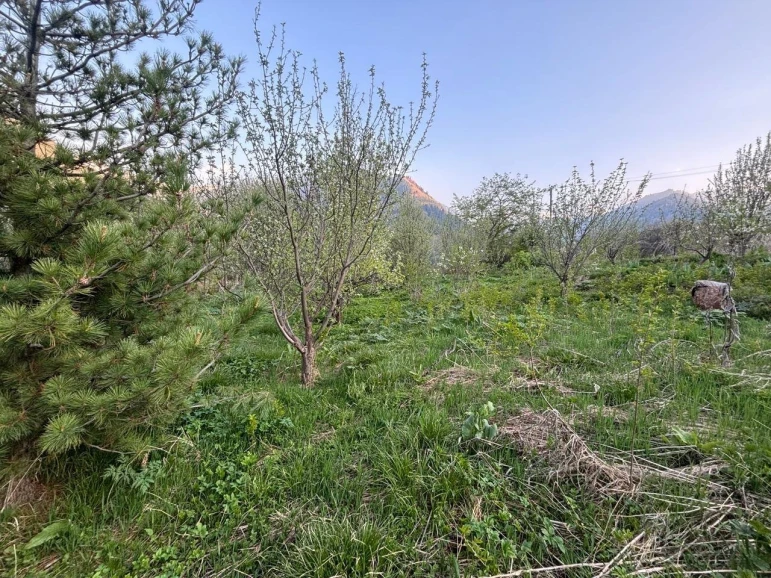 Продам участок в Иле-Алатауском национальном парке. - 2604 - фото 9