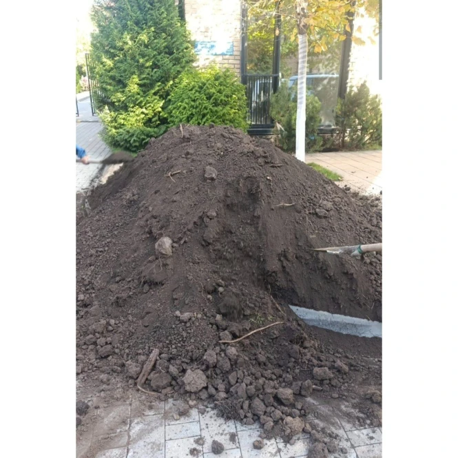 ЧЕРНОЗЁМ С ДОСТАВКОЙ ДО ВАШЕГО УЧАСТКА! - 992819 - фото 8