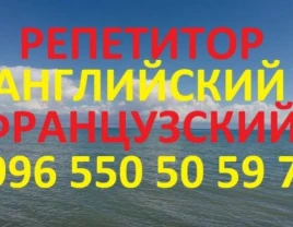 Преподаватель по английскому и французскому языкам репетитор учитель - фото 1