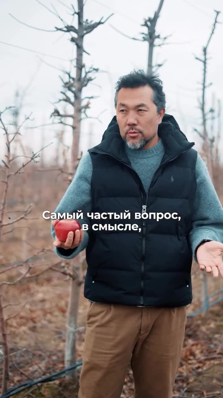 Выращиваем ли мы апорт? - photo - ID51