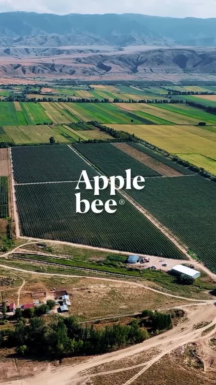 Pommes modernes AppleBee-une qualité de confiance - photo - ID59